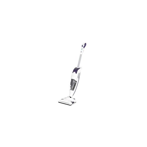 meilleur rapport qualite prix nettoyeur vapeur rowenta
