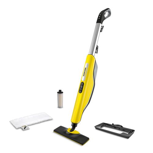 quel nettoyeur vapeur tapis choisir